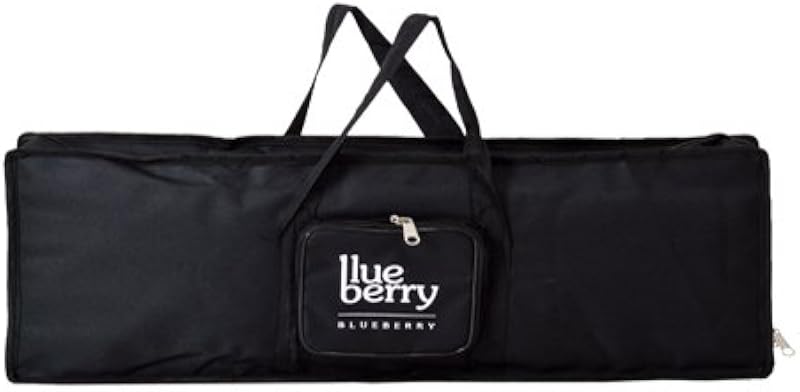 Blueberry Keyboard bag Compatible With Casio SA-76, Casio SA-77, Casio SA-78 Keyboards