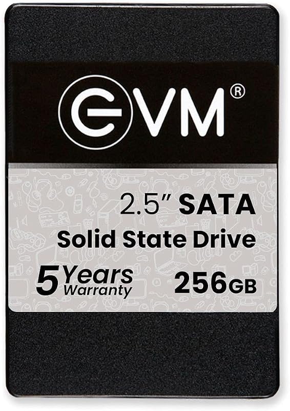 EVM25/256GB 256GB SSD 2.5" INCH SATA
