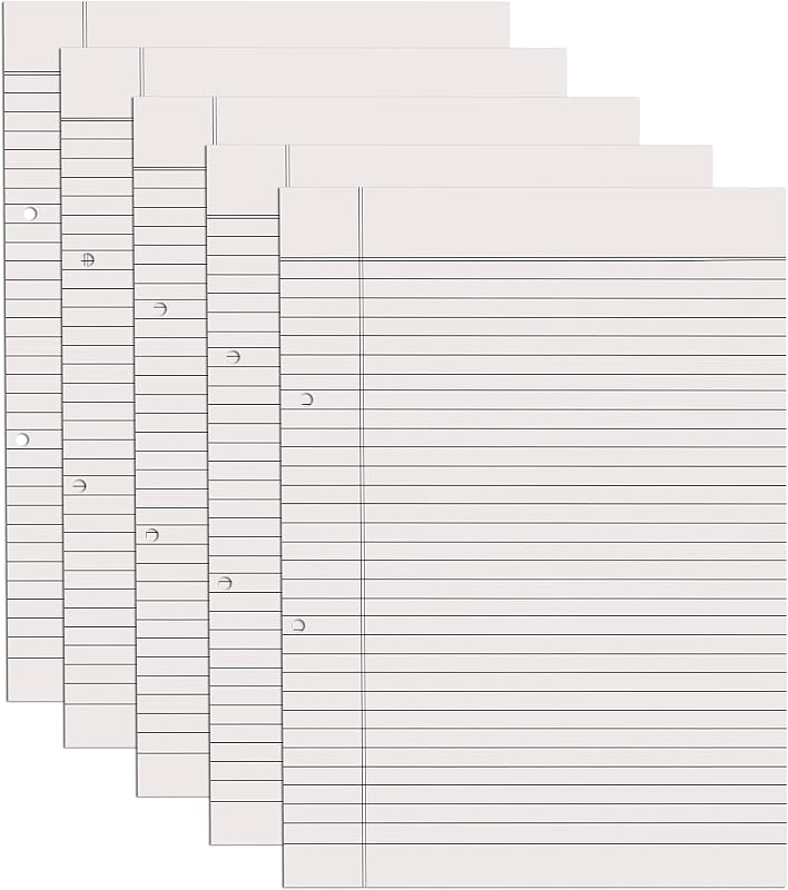 Paraspapermart A4 Ruled White Project Sheets (100 Sheets, Both Side Ruled)