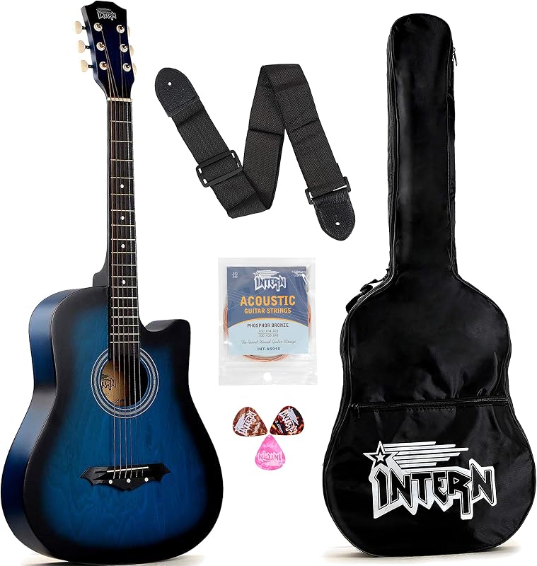 Intern INT-38C Acoustic Guitar Kit (Blue)